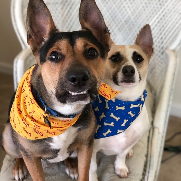 NFS Meet the posher! - Picture 5 of 6